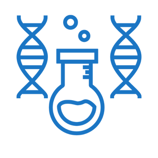 Molecular Lab